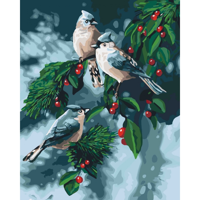 Картина по номерам 'Зимние птицы'