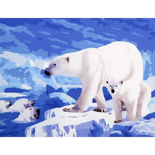 Картина по номерам для рисования 'Белые медведи'