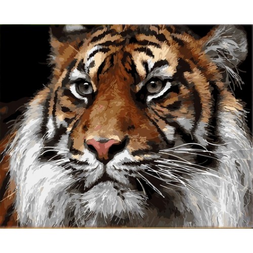 Картина по номерам на подрамнике 'Тигр'