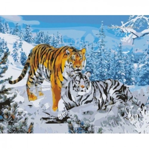 Картина по номерам на подрамнике животные 'Амурские тигры'