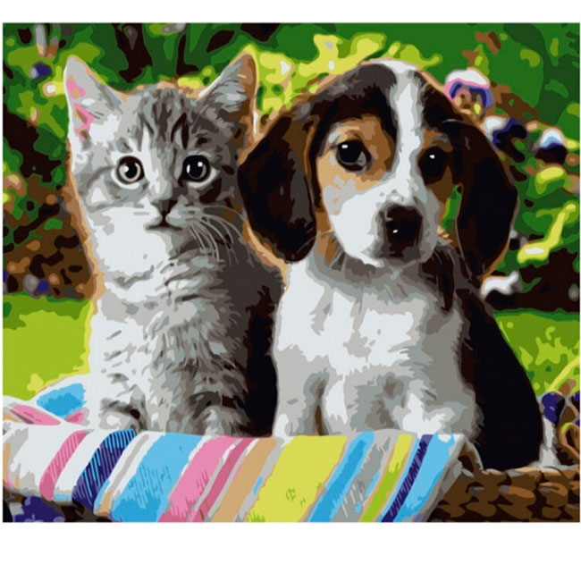 Картина-раскраска по номерам 'Котенок и щенок' в коробке