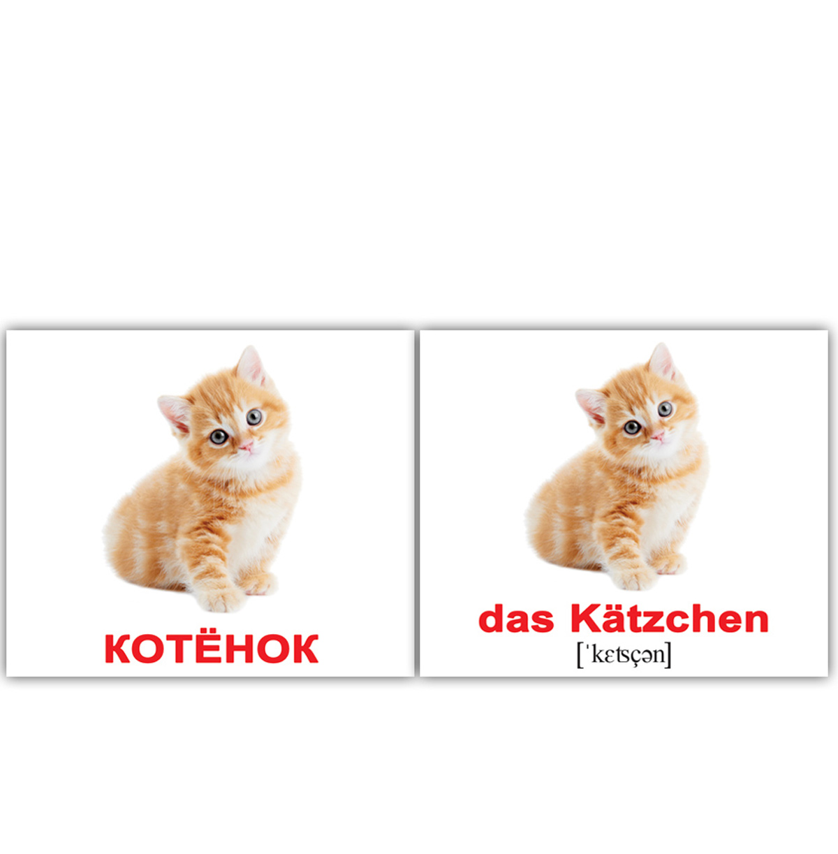 Картки  міні російсько-німецькі 'Домашні тварини / Haustiere'