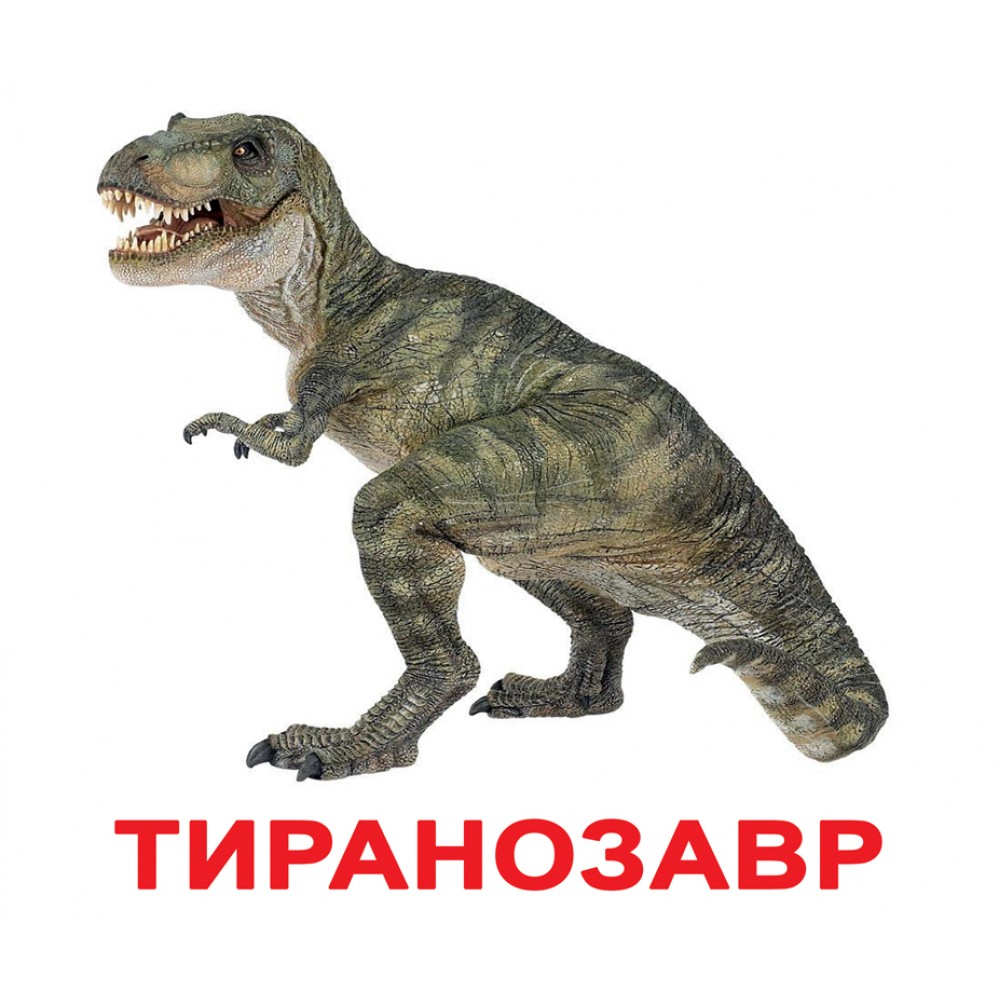 Карточки большие украинские с фактами 'Динозавры'