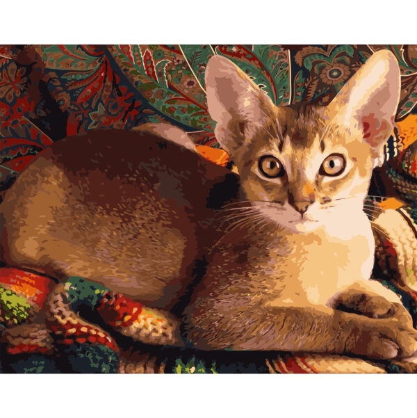 Набор для росписи картины по номерам 'Домашняя кошка'