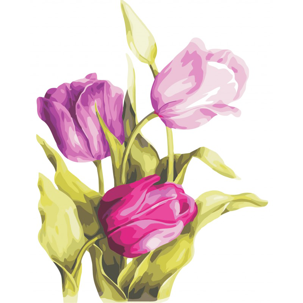 Набор для творчества картина по номерам 'Нежные тюльпаны'