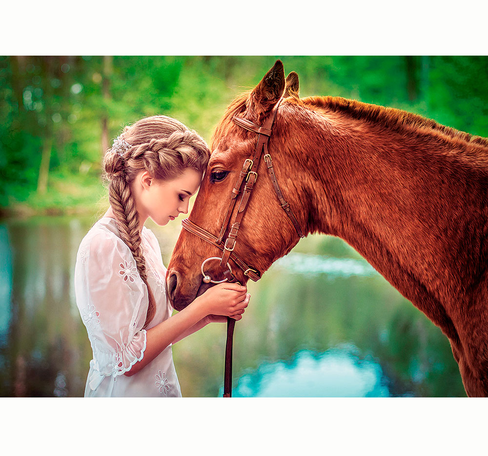 Пазл Castorland 500 элементов 'Девушка и лошадь'