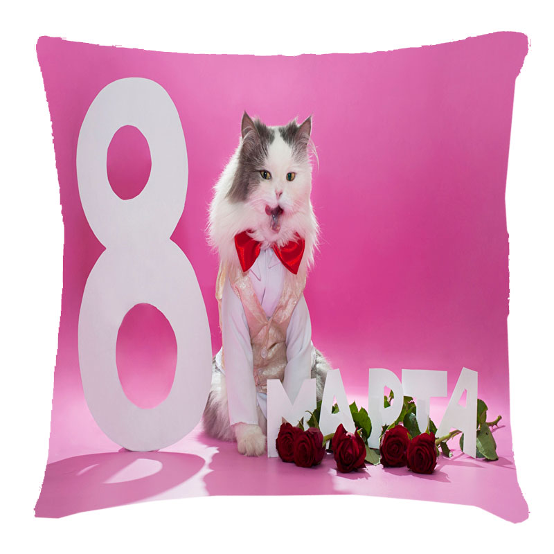 Подушка з 3D малюнком на 8 березня 'Кіт з букетом троянд'