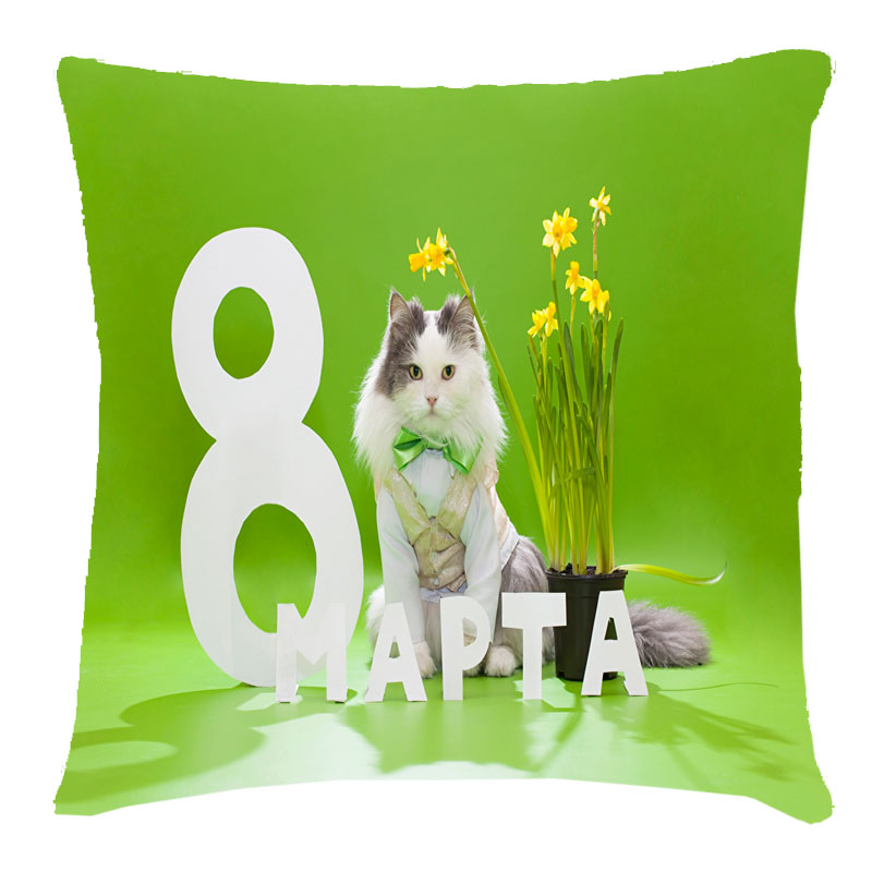 Подушка с 3D рисунком на 8 марта 'Кот с цветами'