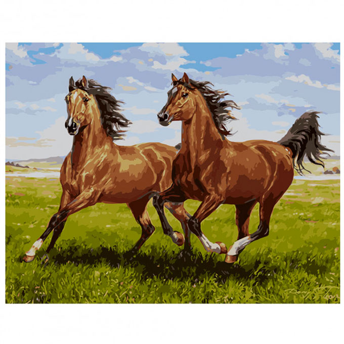 Роспись красками по номерам 'Свободные кони'