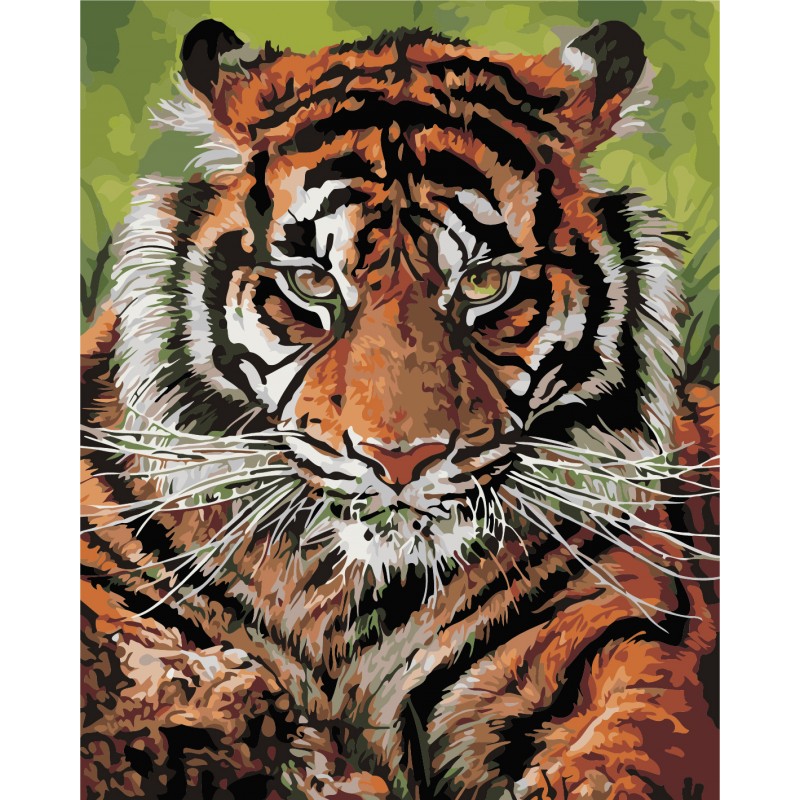 Роспись по номерам 'Взгляд тигра'