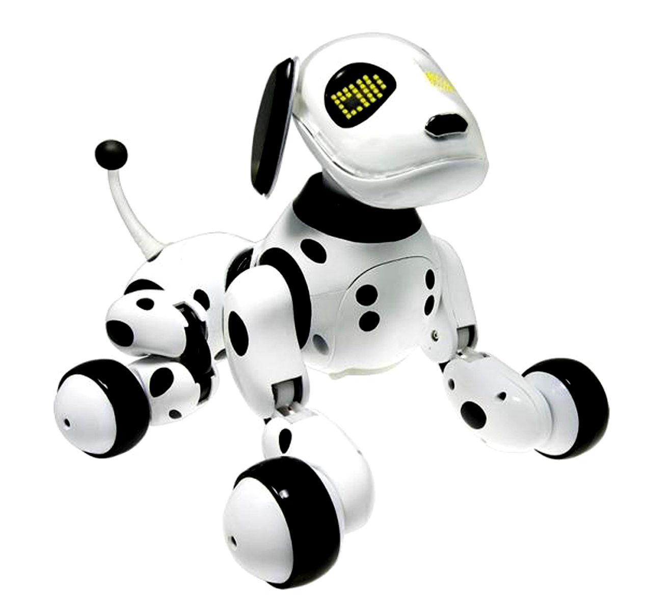 Зуммер света. Робот собака зуммер. Робот собака далматинец. Собака робот Spin Master 14402. Робот собака Robot Dog 9007 а.