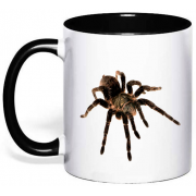 Чашка "Павук Тарантул"