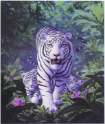 Алмазная живопись "Белые тигры"
