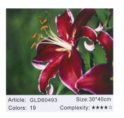 Алмазная мозаика по номерам "Цветок"