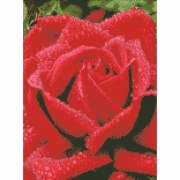 Алмазна вишивка "Запашна троянда"