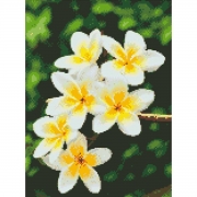 Алмазная вышивка "Гавайский цветок"