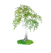 Бисерное дерево "Береза"
