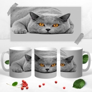 Чашка с 3Д фото Британская кошка