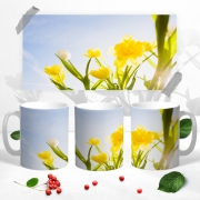 Чашка с 3Д фото Нарциссы