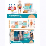 Детский обучающий набор "Анатомия человека"