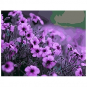 Живопись по номерам "Фиолетовые цветы"