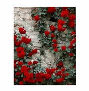 Живопись по номерам "Розы на стене" в коробке