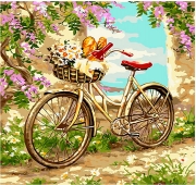 Живопись по номерам "Велосипед в цветах" в коробке