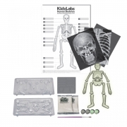 Игровой набор детская лаборатория "Скелет человека"