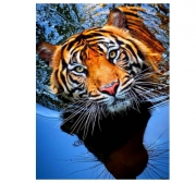 Картина алмазами 3D "Тигр пливе"
