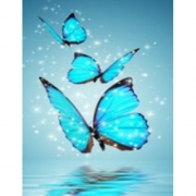 Картина алмазами "Бабочки голубые" без подрамника
