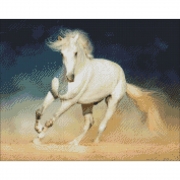 Картина алмазами "Белая лошадь" на подрамнике