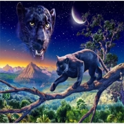Картина алмазами "Черная пантера" без подрамника