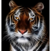 Картина алмазами "Желтоглазый тигр" без подрамника