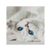 Картина алмазами "Голубоглазый котенок"