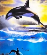 Картина алмазами "Касатка"