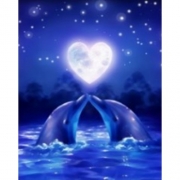 Картина алмазами "Пара дельфинов" на подрамнике