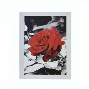 Картина алмазами "Троянда"