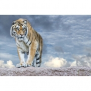Картина алмазами "Тигр" без підрамника