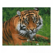 Картина алмазами "Тигр" на подрамнике