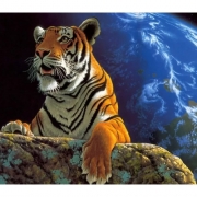 Картина алмазами без подрамника "Могучий тигр"