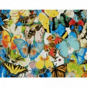 Картина алмазами на холсте с подрамником "Красочные бабочки"