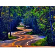 Картина алмазами на підрамнику 