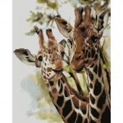 Картина алмазами на подрамнике "Жирафы"