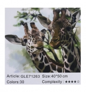 Картина алмазами на підрамнику 