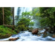 Картина алмазами на підрамнику 