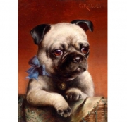 Картина алмазами на подрамнике "Мопс"