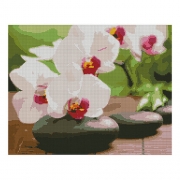 Картина алмазами на подрамнике "Орхидея на камнях"