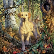 Картина алмазами на подрамнике "Пес и лесные жители"