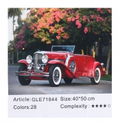 Картина алмазами на підрамнику 