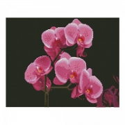 Картина алмазами на підрамнику "Рожеві орхідеї"